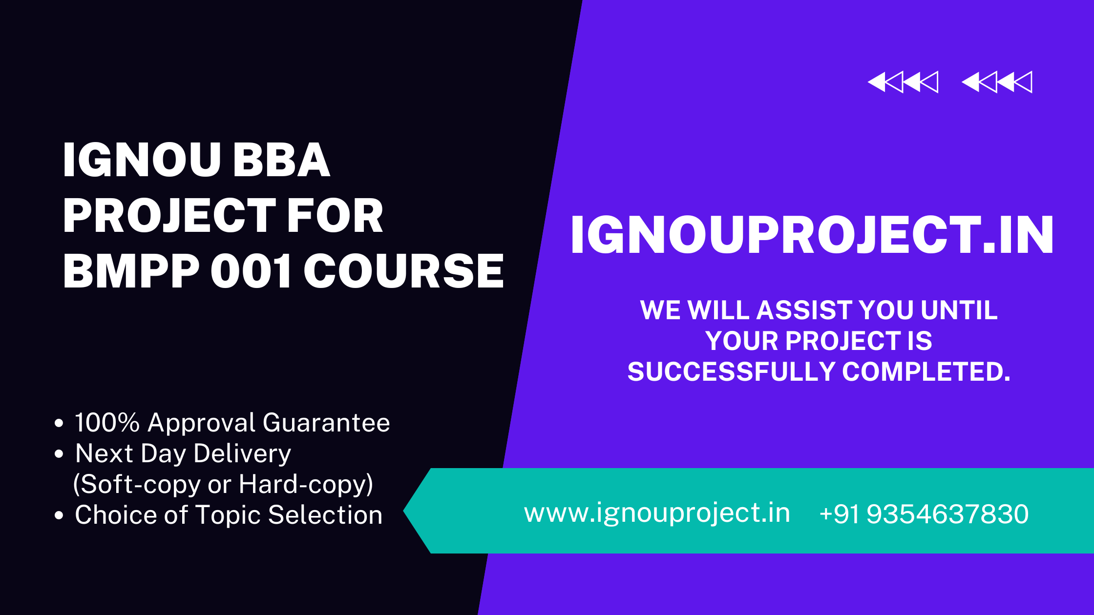 IGNOU BBA Project for BMPP 001 Course