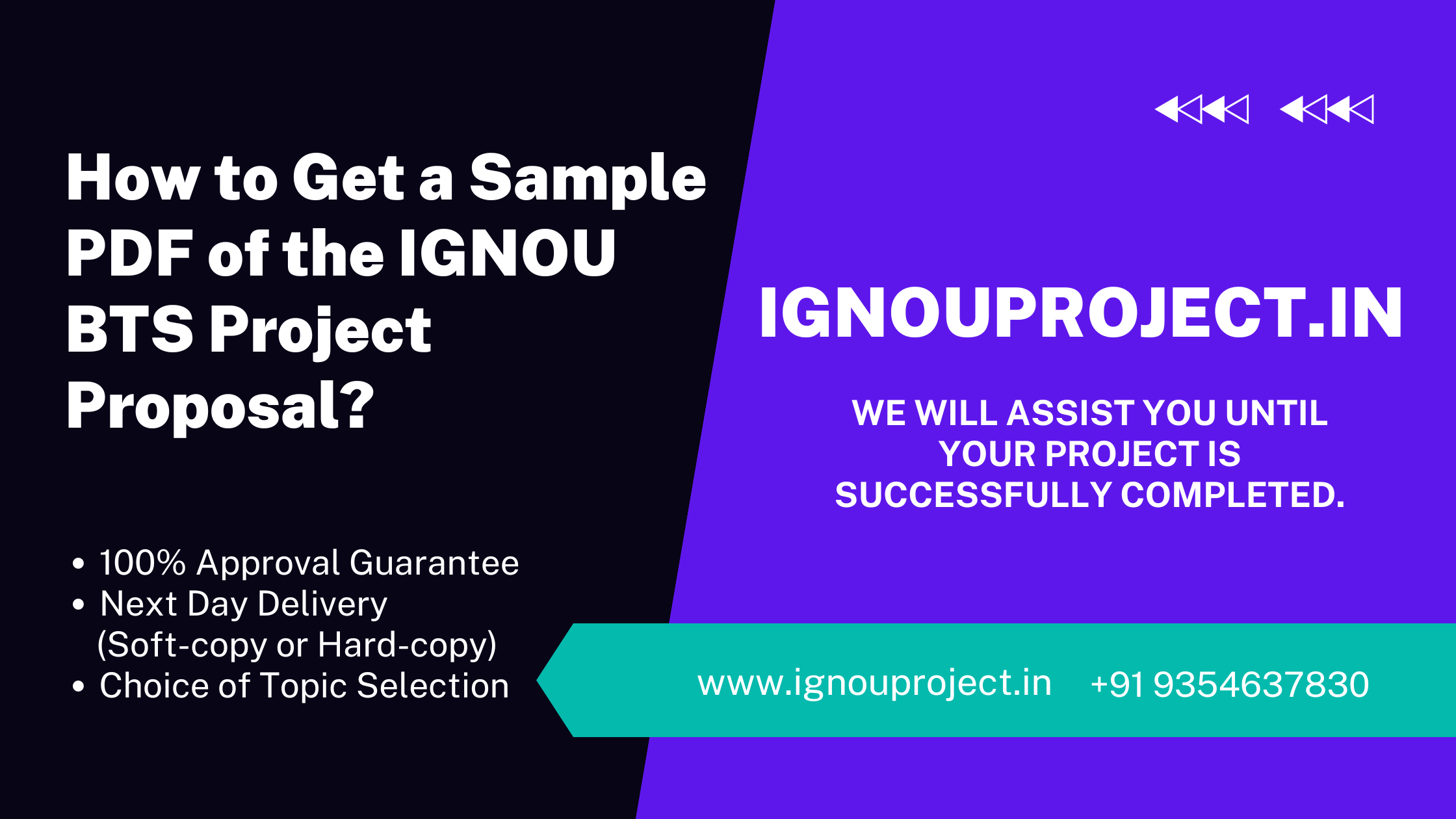 How to Get a Sample PDF of the IGNOU BTS Project Proposal?