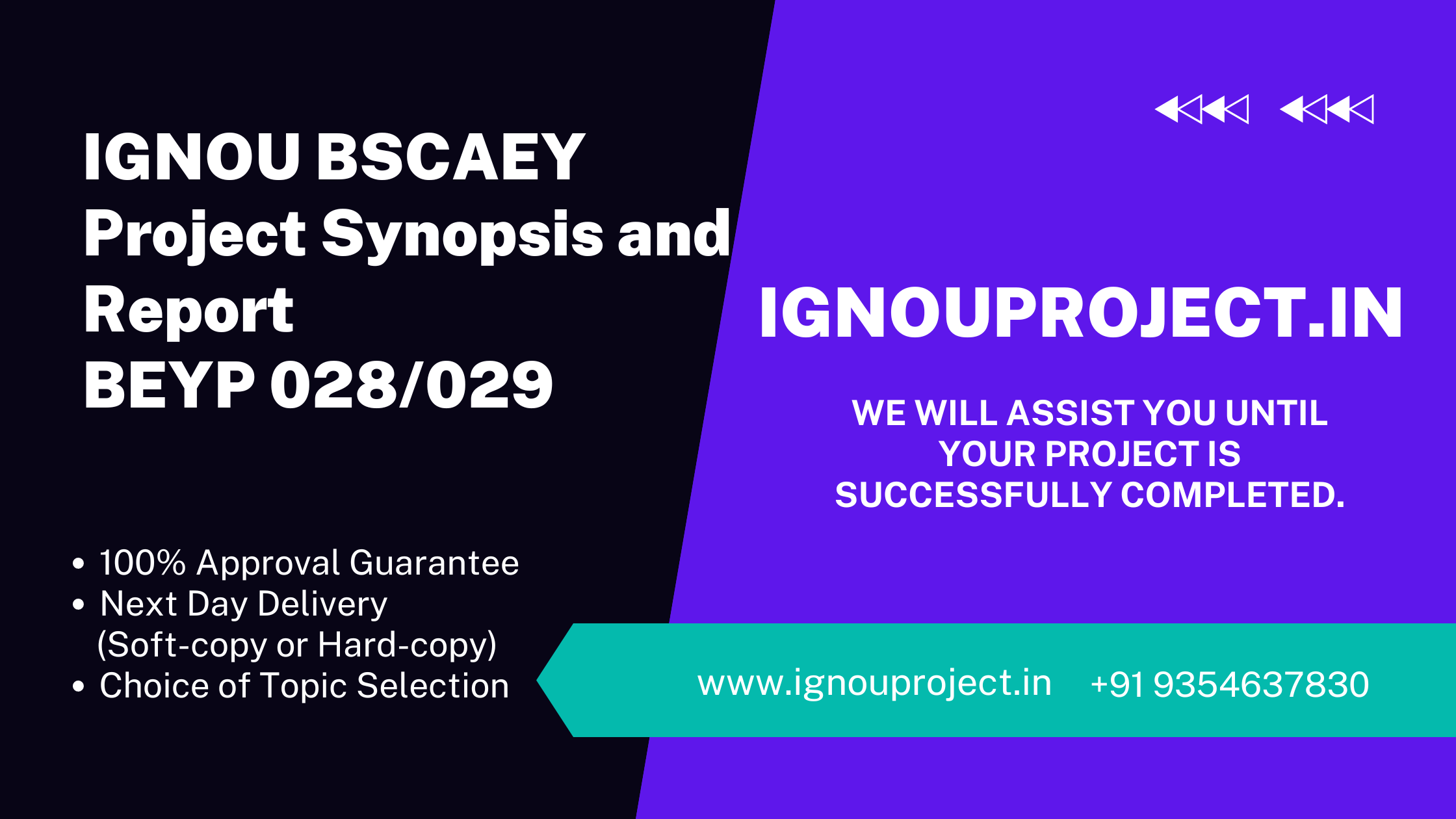 IGNOU BSCAEY Project Synopsis and Report BEYP 028/029