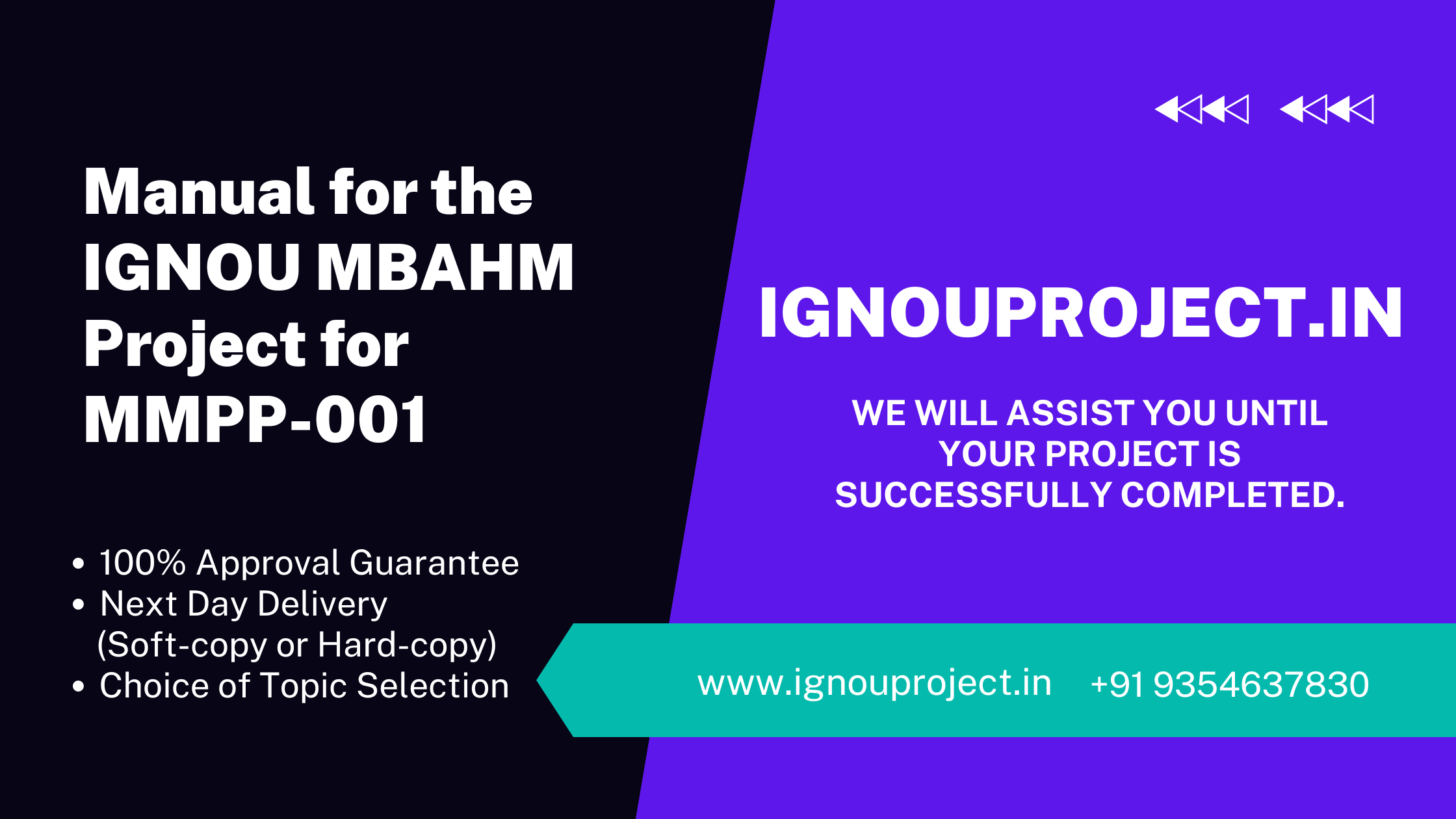 Manual for the IGNOU MBAHM Project (MMPP-001)