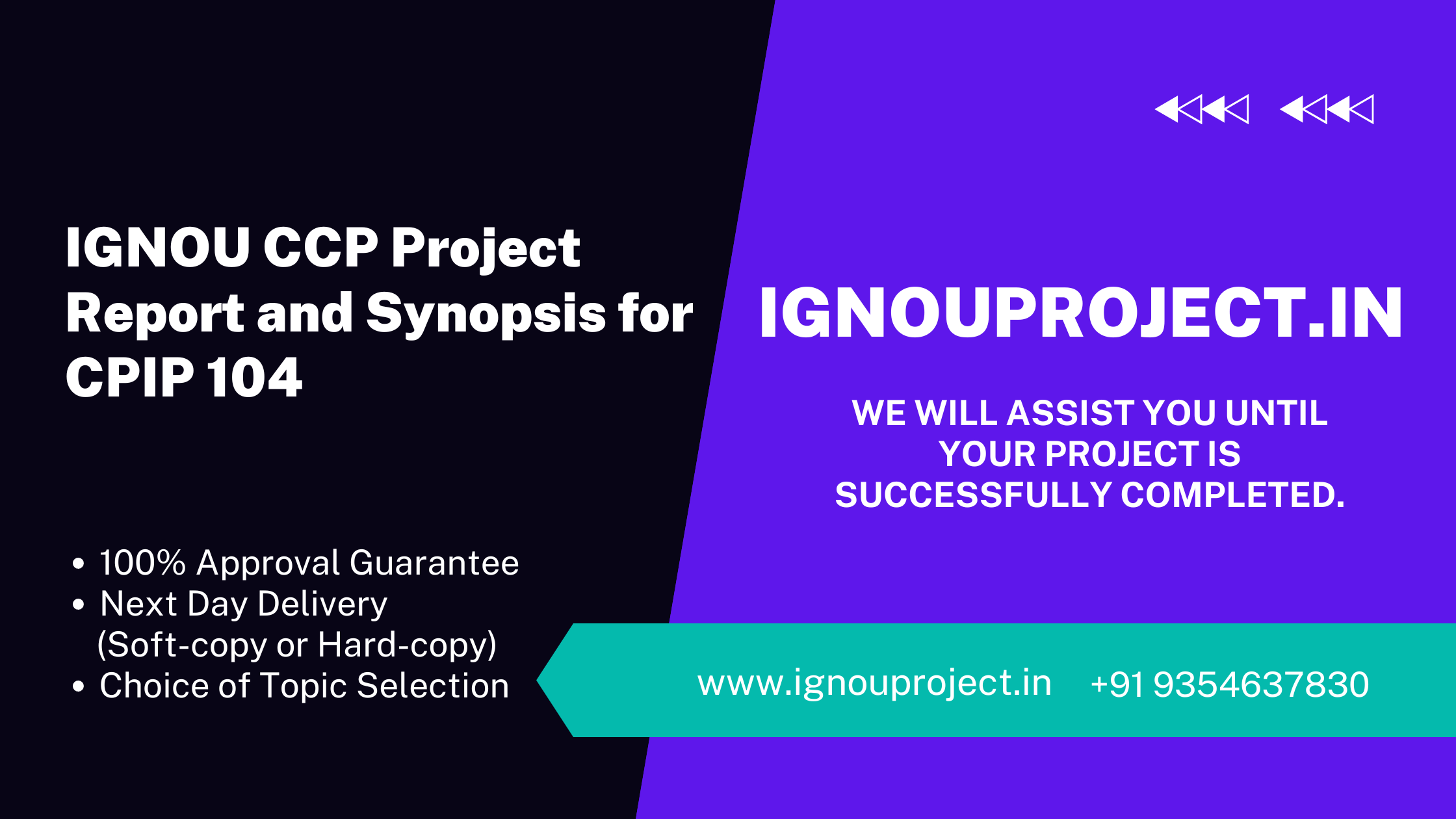 IGNOU CCP Project Report and Synopsis for CPIP 104